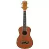 Washburn U20E N ukulele