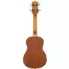Washburn U20E N ukulele