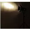 Elation TSP500FN-B reflektor teatralny Fresnel 300/500W
