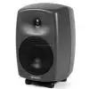 Genelec 8020AP zestaw gonikowy