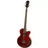 Epiphone Allen Woody LTD ED Rumblekat WR gitara basowa