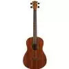 Richwood UK 250 B ukulele barytonowe