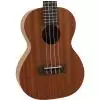 Korala UKT 210 ukulele tenorowe, sapele palisander