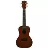 Kala Makala MK-C ukulele koncertowe z pokrowcem