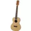 Hoefner Ukulele ′13 Tenorowe