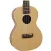 Hoefner Ukulele ′13 Tenorowe