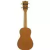 Kala Makala UB-S ukulele sopranowe Steampunk z pokrowcem