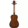 Kala Makala UBass SMHG FS ukulele basowe