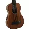 Kala Makala UBass SMHG FS ukulele basowe