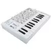 Arturia Microbrute SE White syntezator analogowy