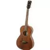 Ibanez AVN 2 OPN gitara akustyczna Ibanez AVN 2 OPN gitara akustyczna