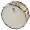 Sakae SD1455 MA-NT Maple Snare werbel 14x5,5″