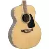 Takamine GN51 NAT gitara akustyczna Takamine GN51 NAT gitara akustyczna
