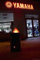 Chicken Food w Yamaha Motorland