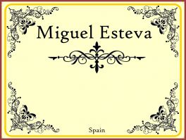 Gitary klasyczne Miguel Esteva w Muzyczny.pl