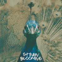 Premiera drugiej pyty wrocawskiego zespou STRAIN