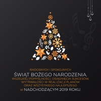 Radosnych i ciepych wit Boego Narodzenia i szczliwego Nowego Roku!